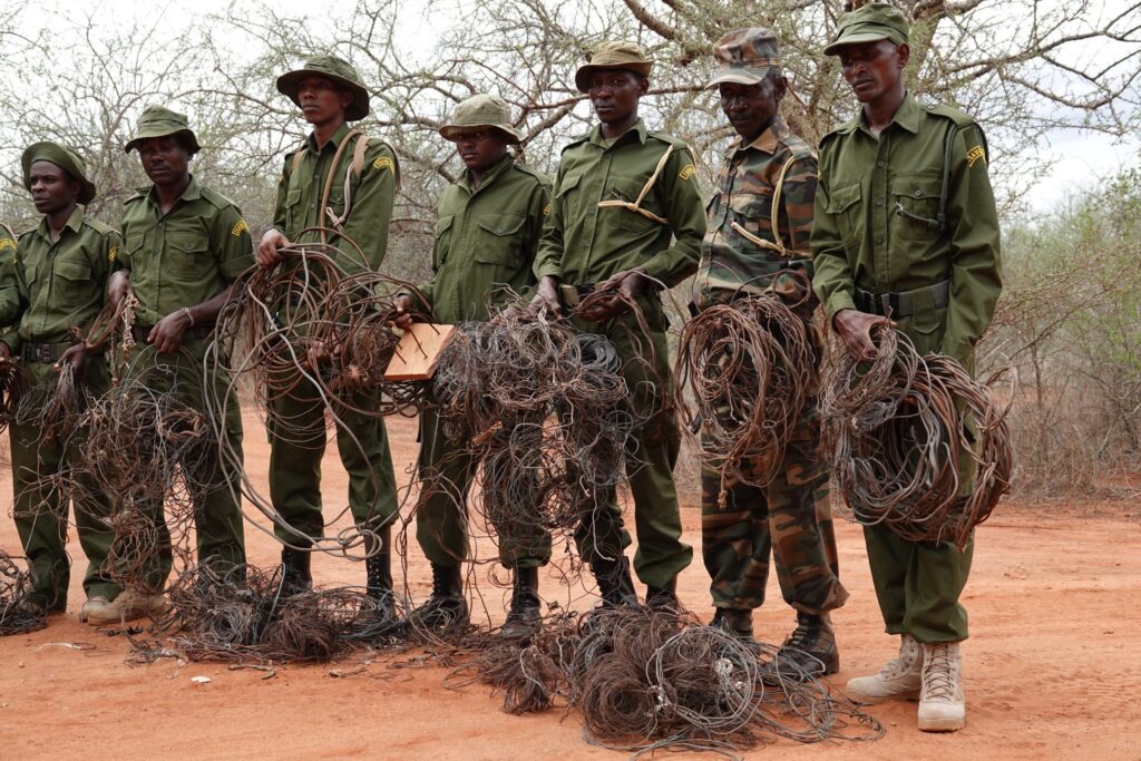 DSC01449-copy-scaled