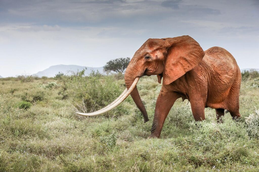 WhatsApp-Image-2020-11-30-at-8.12.55-AM