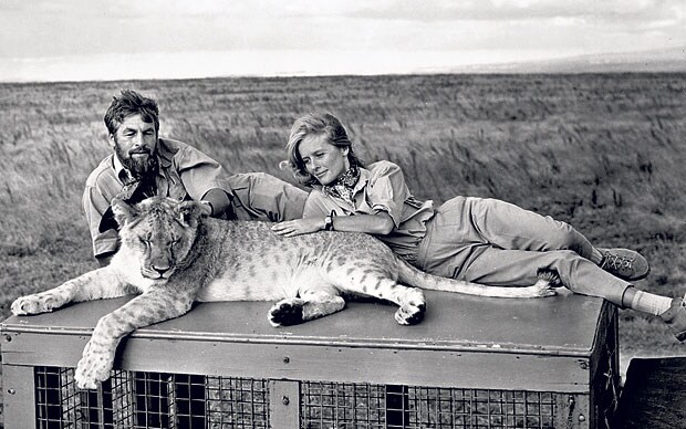 Virginia McKenna and Bill Travers on an earlier visit to Kenya