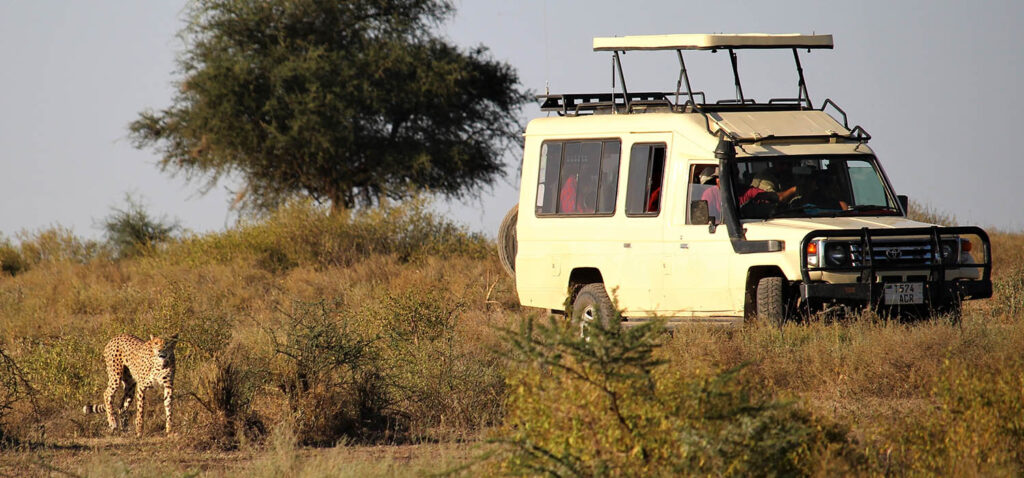 maasai_mara_national_reserve_large