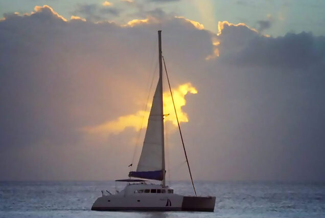 Private Catamaran Cruise